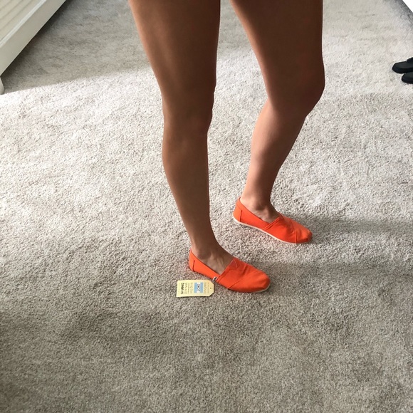 TOMS - Picture 2 of 7